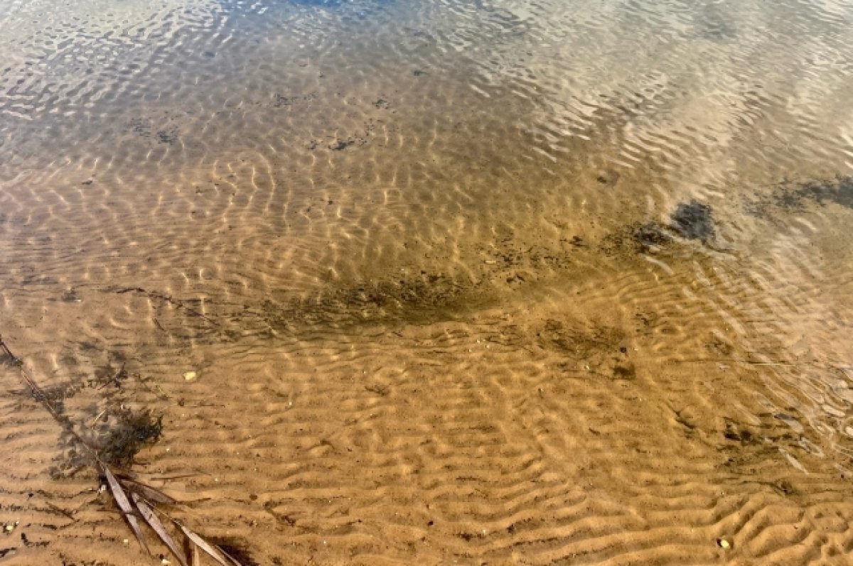    В Барнауле проводят рейды по водоемам