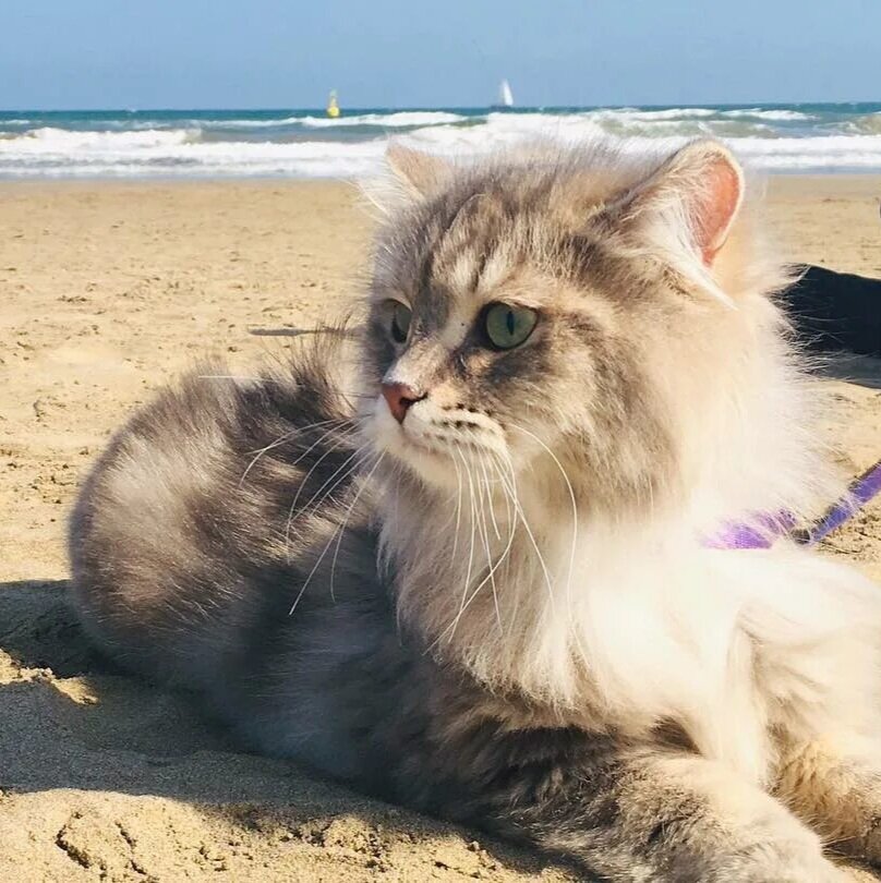 Источник: Яндекс картинки