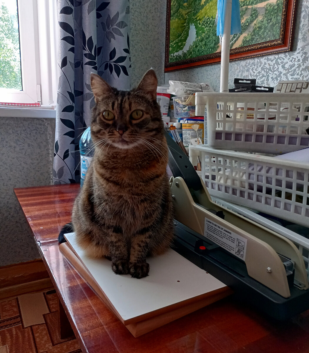 Фото: Елена Бычихина