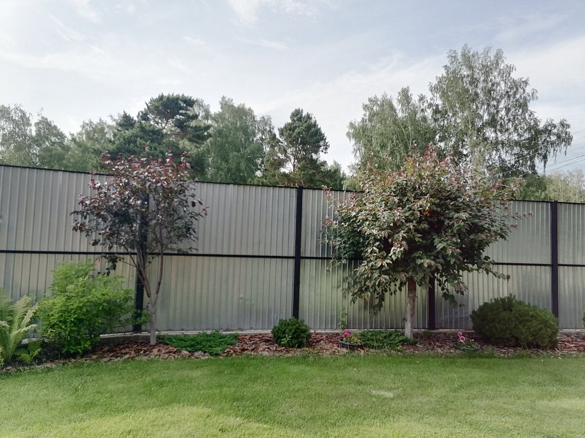 Фото до стрижки