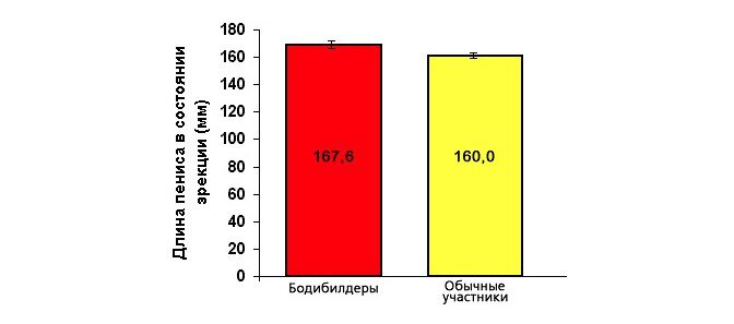 Размер члена: норма и отклонения