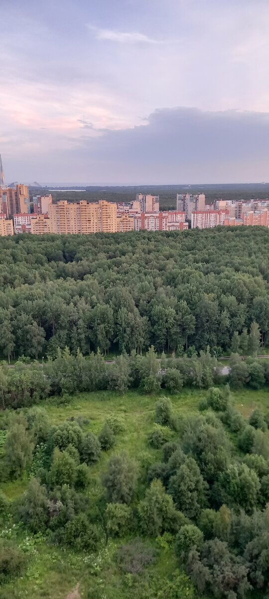 Шикарный вид!