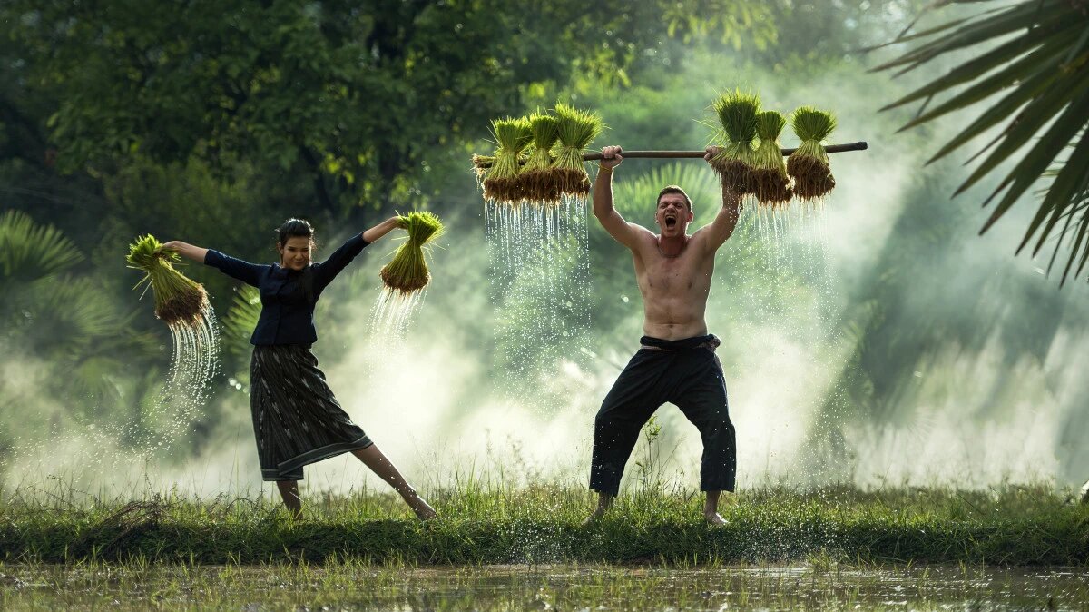 День трудоголиков. Фото: pxhere.com