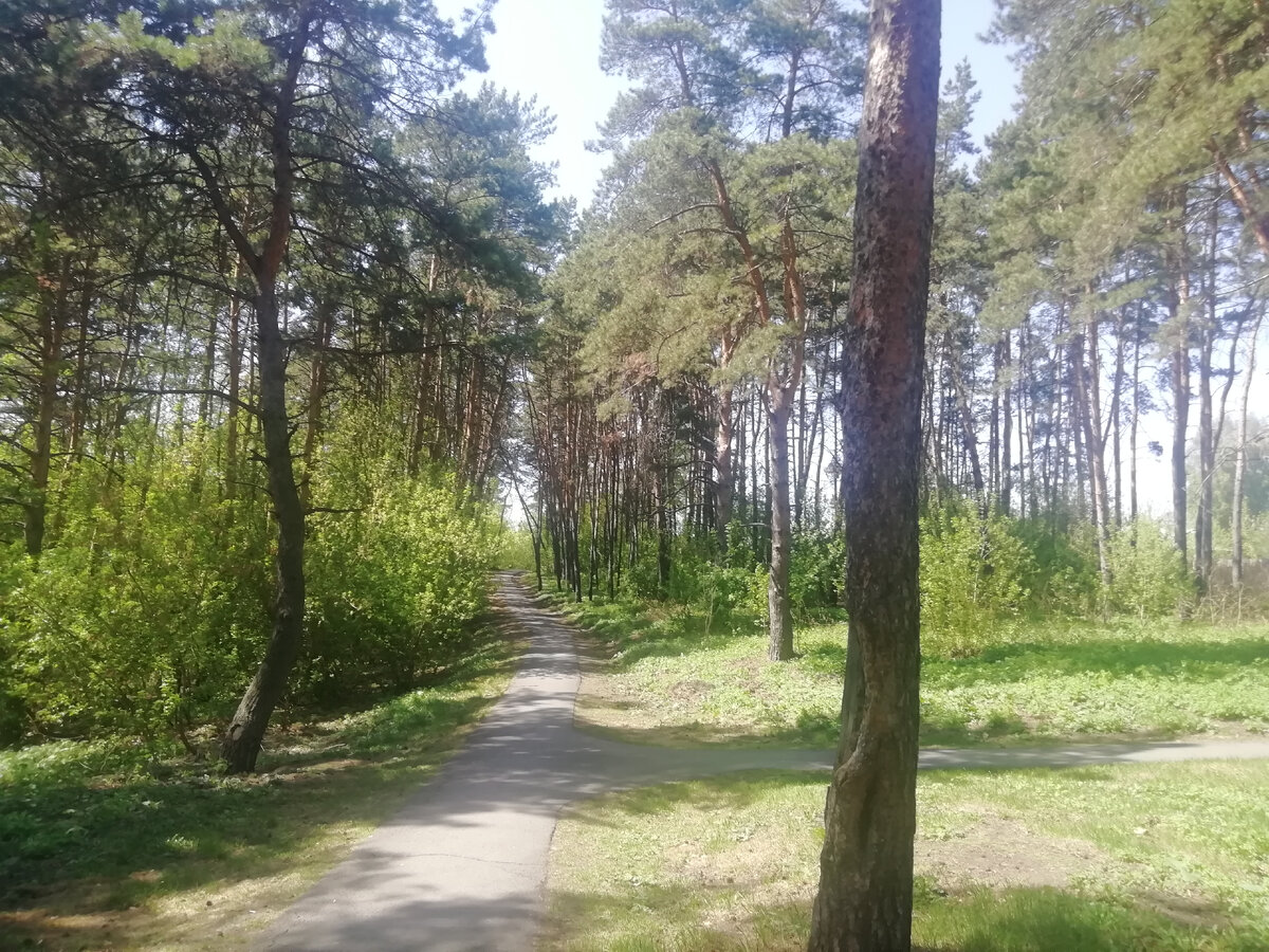 Прогулка по парку 