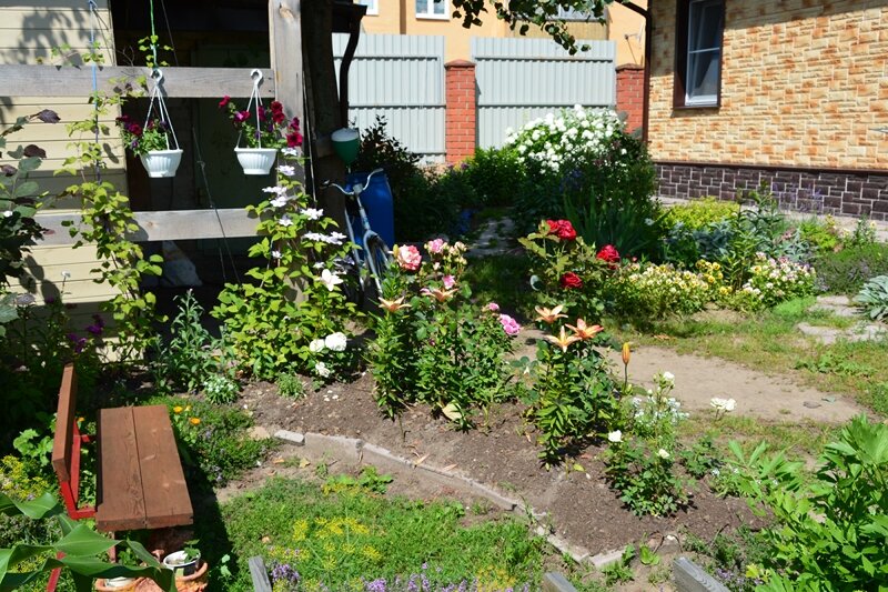 Вид розария слева