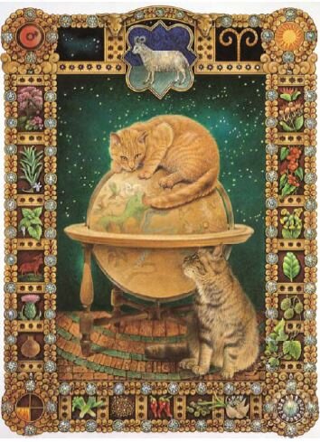 фото из открытой группы в ВК