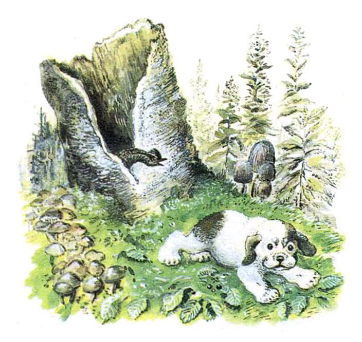 «Первая охота», Виталий Бианки. Источник: fairyroom.ru