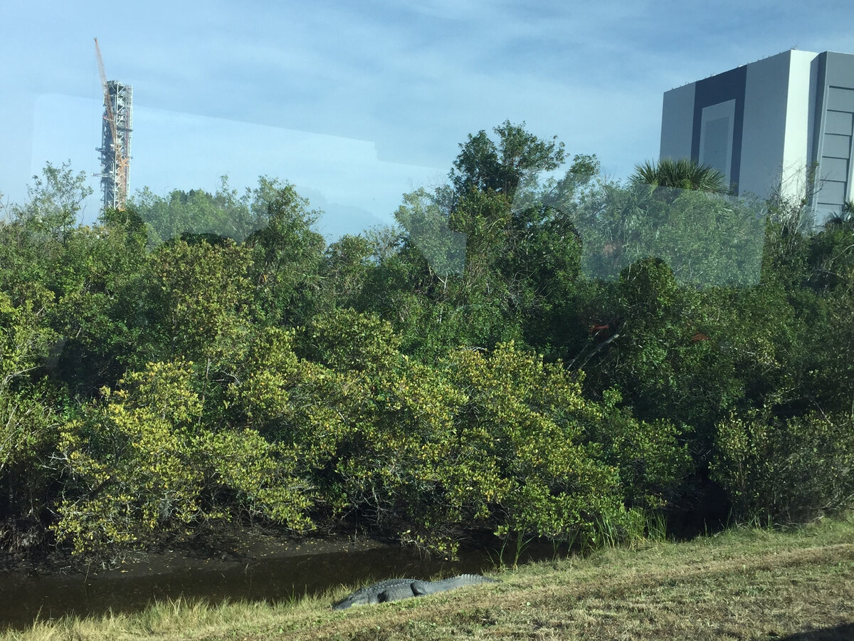 Справа знаменитое Здание вертикальной сборки NASA, а тут аллигаторы валяются. А что такого? В галерее еще фото из Kennedy Space Center (Флорида, США) –>