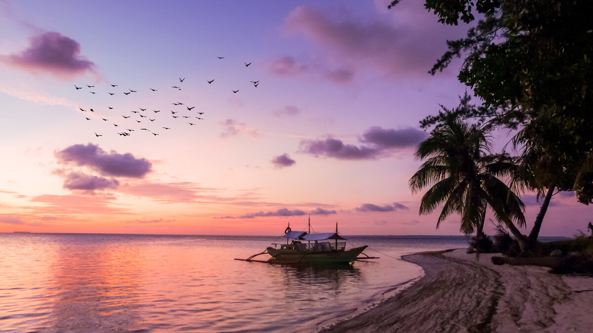 Photo by Cris Tagupa on Unsplash