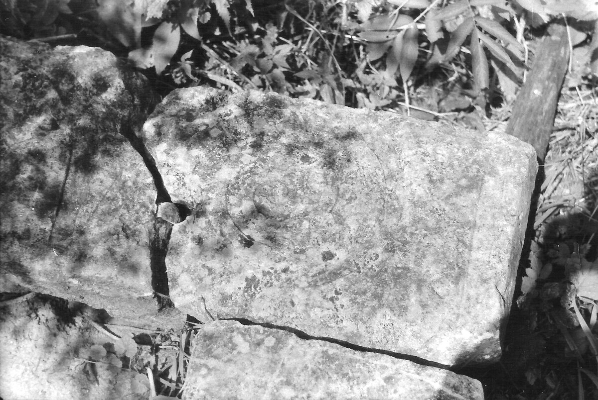 Вот как оправдывают лесорубы хаотичную прокладку ими глубоких, до глины, трелёвочных дорог через леса, поверх старых аккуратных грунтовок, ещё и разрушая при этом древние поселения и могильники разных-46