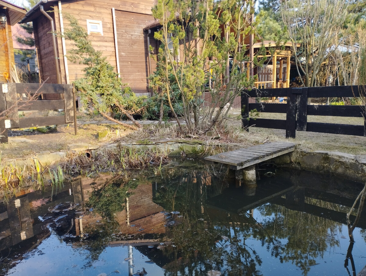 9 апреля 2023 г.