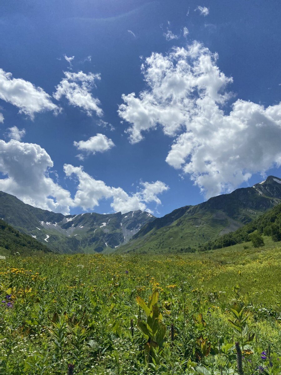 вот такие красоты порадуют вас сегодня 😍