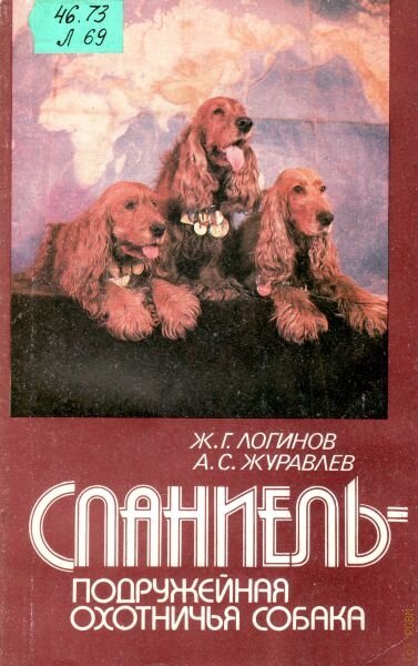 Чем хорош русский спаниель | О русских спаниелях и не только | Дзен