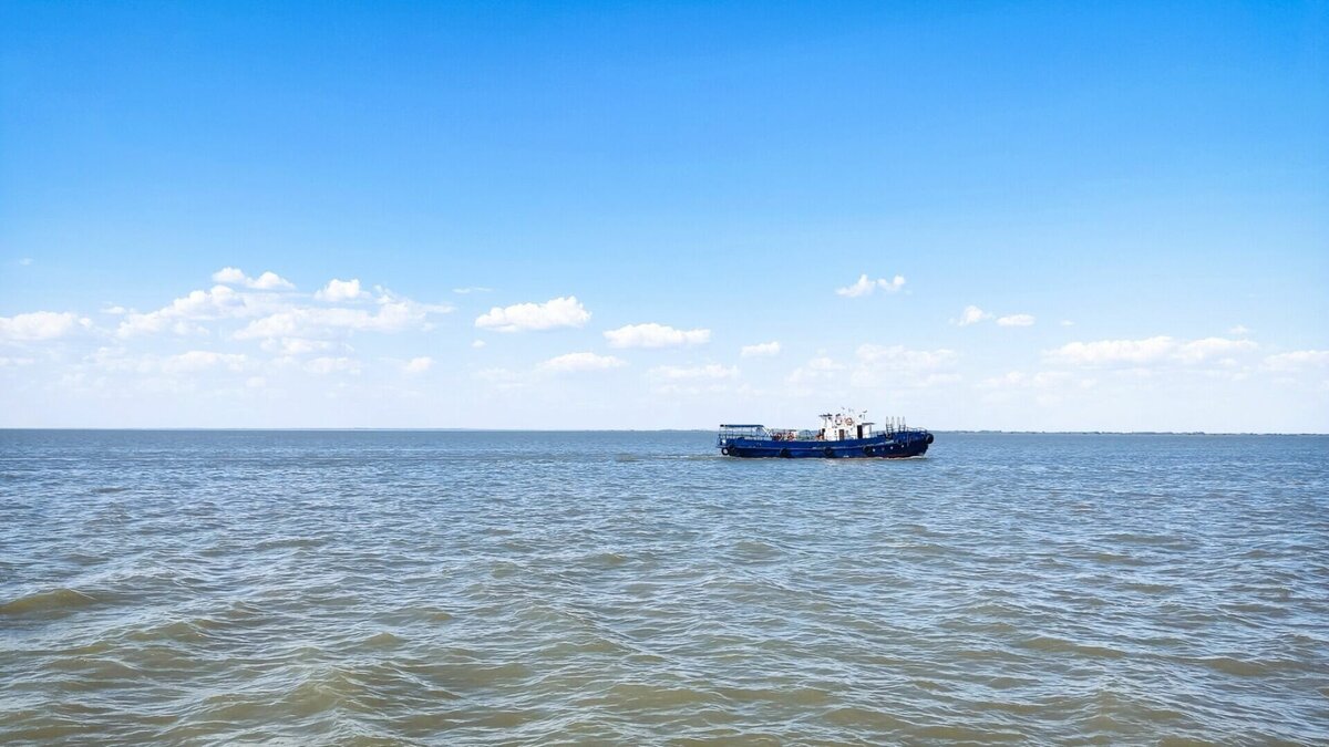     Всего на судне «Катлан» числилось 25 членов экипажа — во время возгорания около южнокорейских берегов удалось спасти 21 из них. В Росморречфлоте рассказали, что случилось с другими людьми.