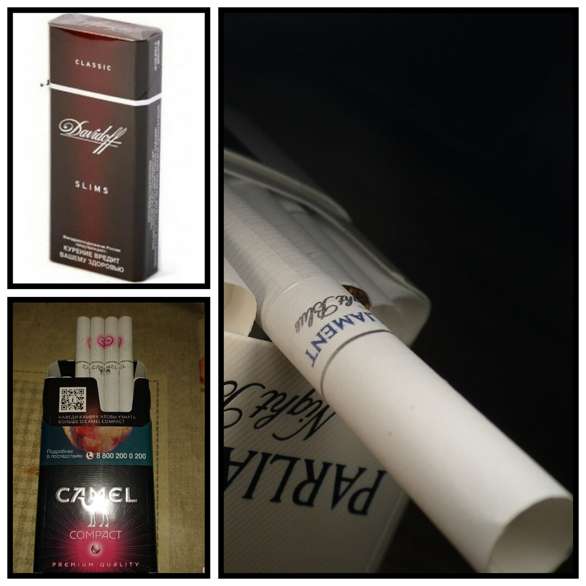 Парламент, кемел компакт Руби, давыдов ss классик