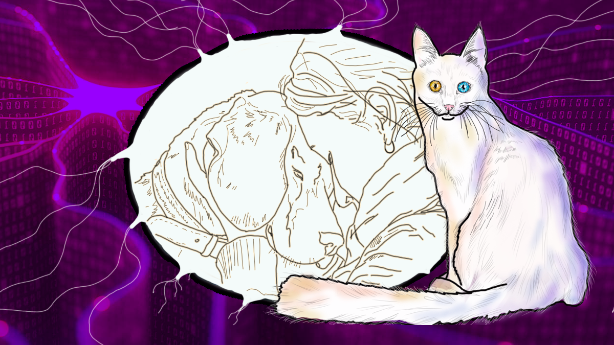 Фото: исходные изображения из открытых источников сети Интернет, обработка автора