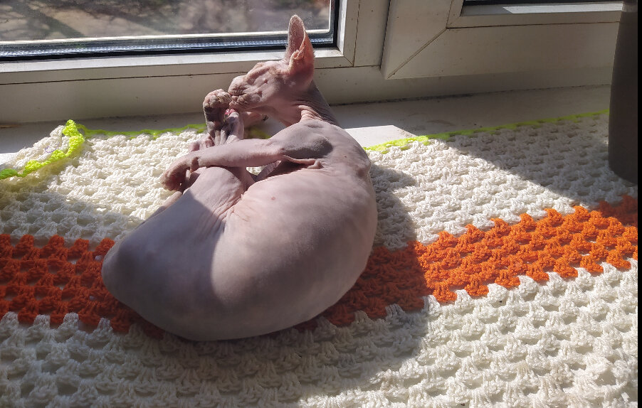 Фото автора. Наша красавица и фото модель 