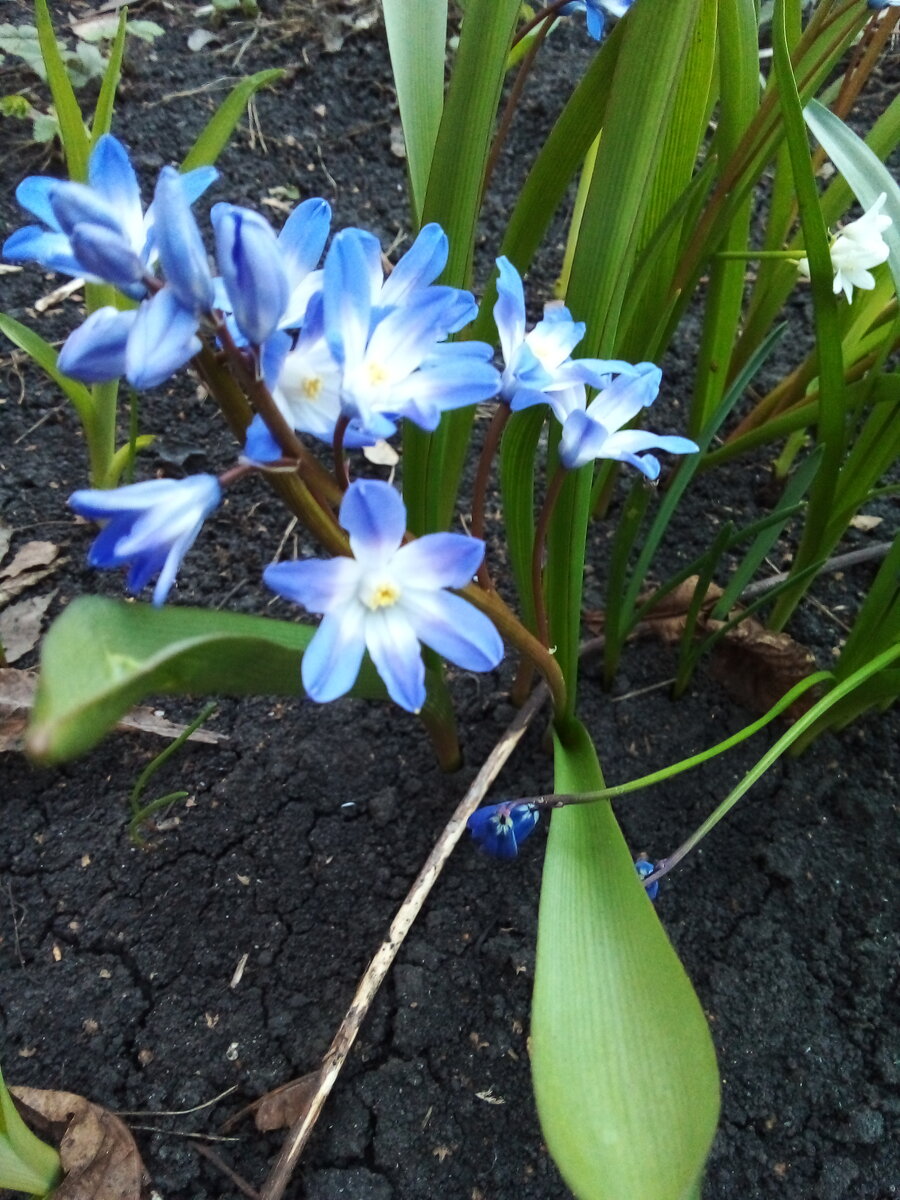 Фото авторв