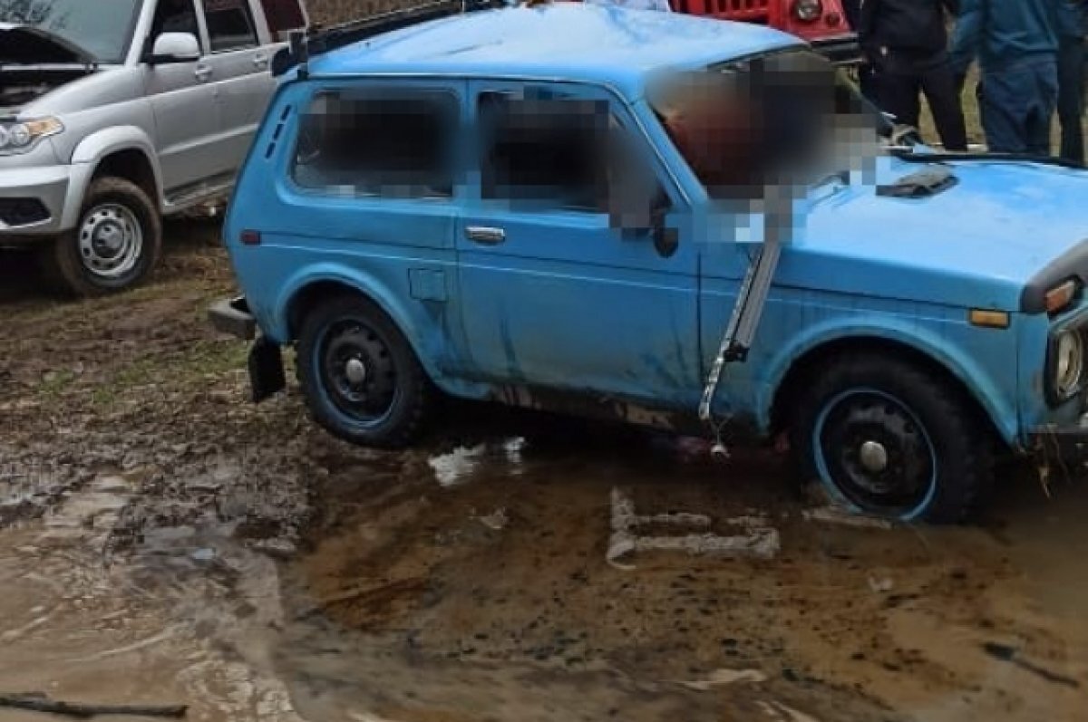    Следов насильственной смерти на следах погибших обнаружено не было.