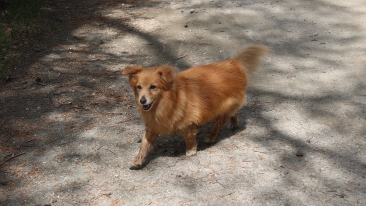 ИА SM News Екатеринбург📷
