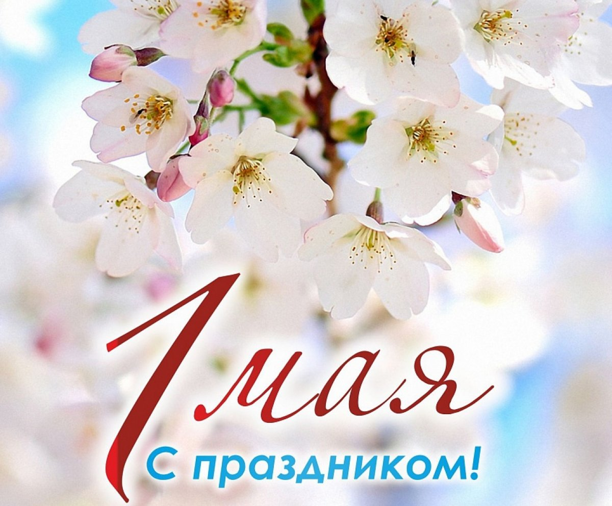 яндекс картинки