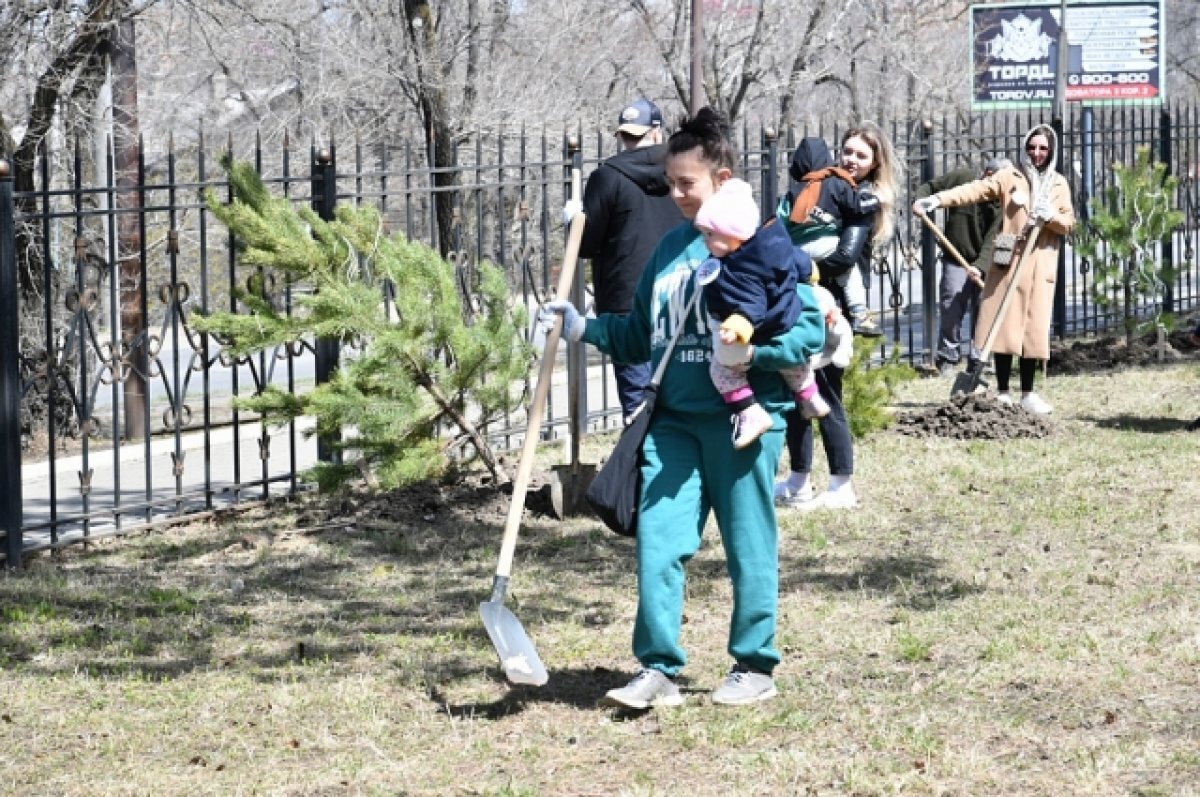    Хабаровчане высадили деревья для своих детей
