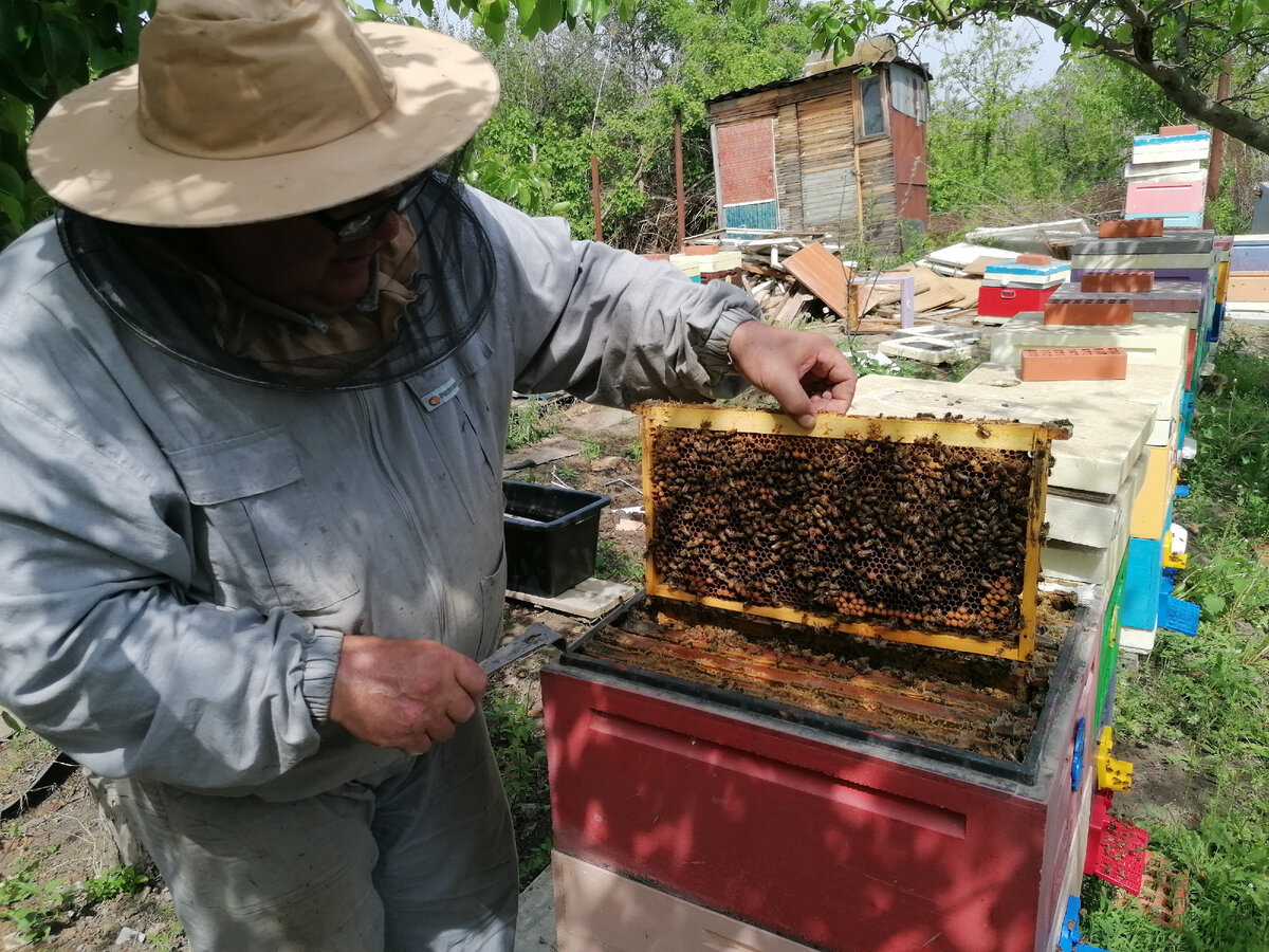 Сергей Малый. Астрахань, 2023 г. 