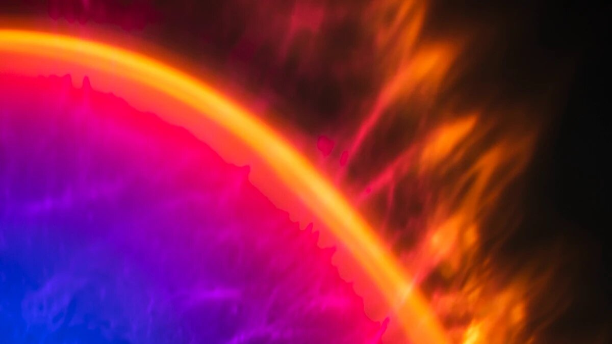 Фото: rawpixel.com / freepik.com