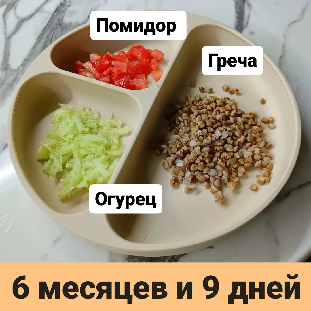 Пример тарелки для прикорма.