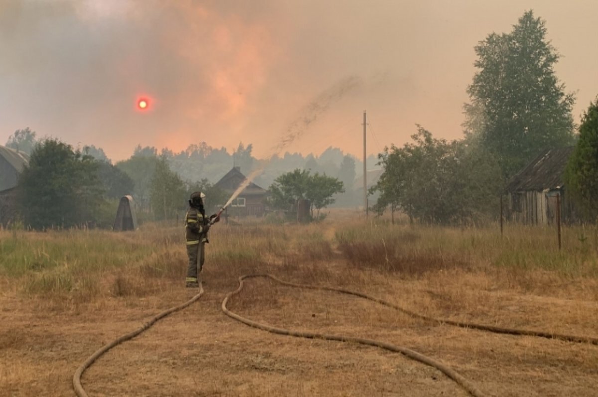    Чтобы не допустить лесных пожаров, надо как можно быстрее принять меры и… сделать работы над ошибками лета прошлого года.