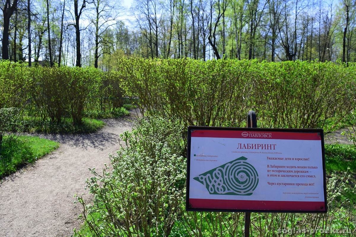 Павловский лабиринт Фото: https://vk.cc/7QHCC7