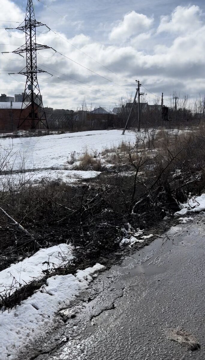 Рыть от ЛЭП направо к дороге, потом вдоль дороги.