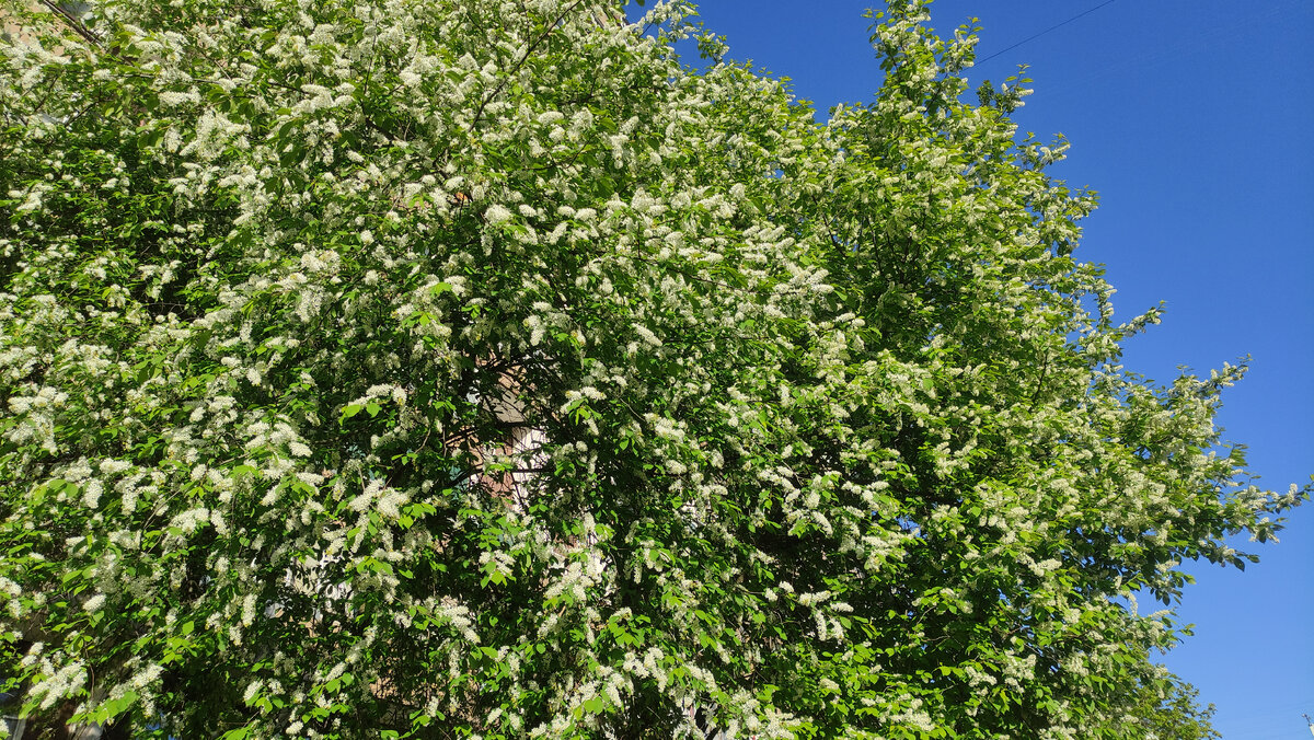 Три новых места в Москве куда стоит сходить | Иван Путешествует | Дзен