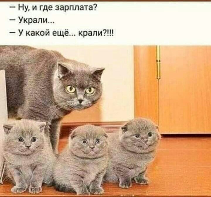 Картинка из интернета