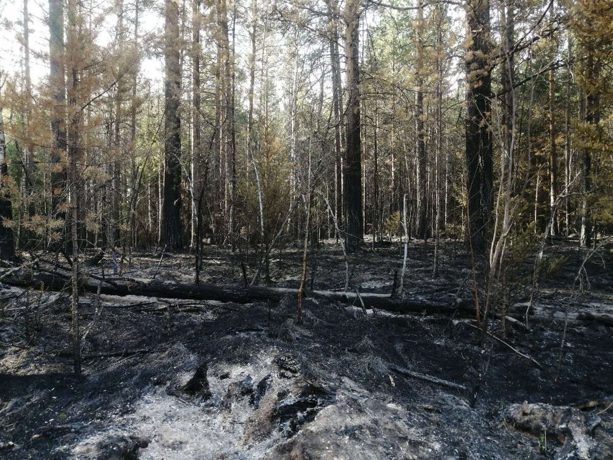 Фото: МЧС России