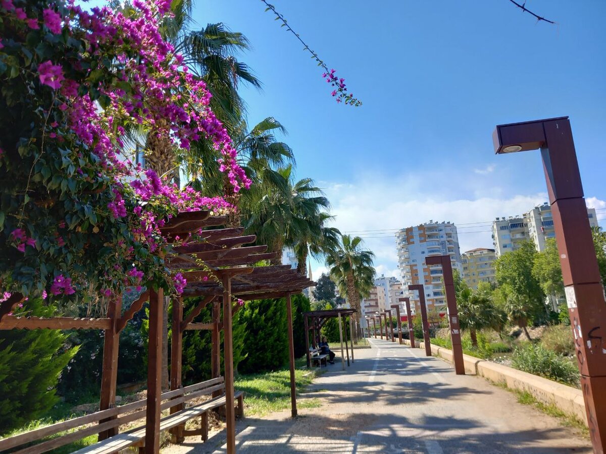 Лавочки у канала. Фото автора