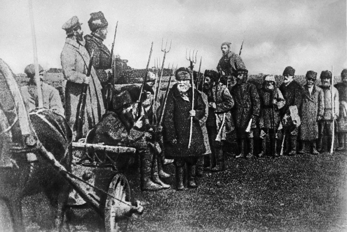 Крестьянское восстание 1919