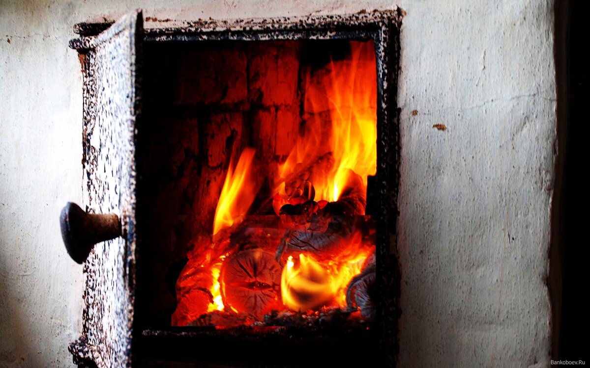 фото из интернета