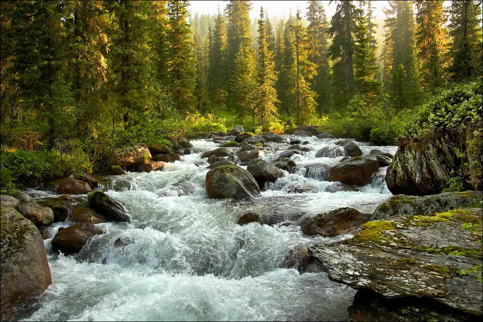 Фото с сайта: http://mtdata.ru/u7/photo6C6D/20983713534-0/original.jpg