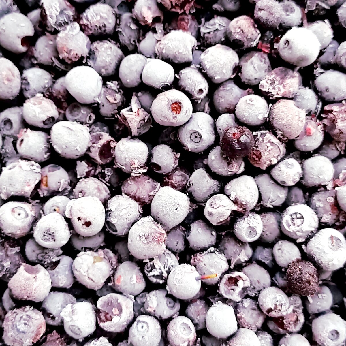 Замороженная черника