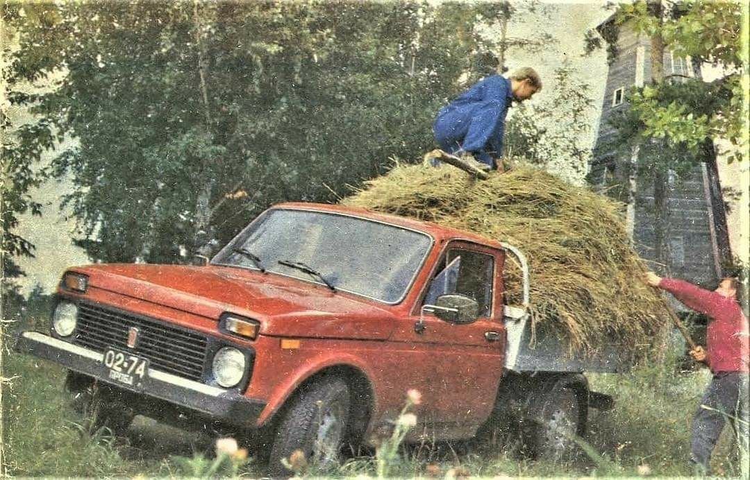      Фото/интернет/