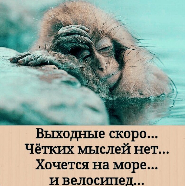 Фото взято из открытых источников Яндекс поиска 