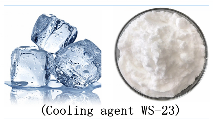 Охлаждающий агент WS-23 — 20% PG
