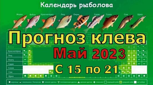 Календарь рыболова на эту неделю московская область фото