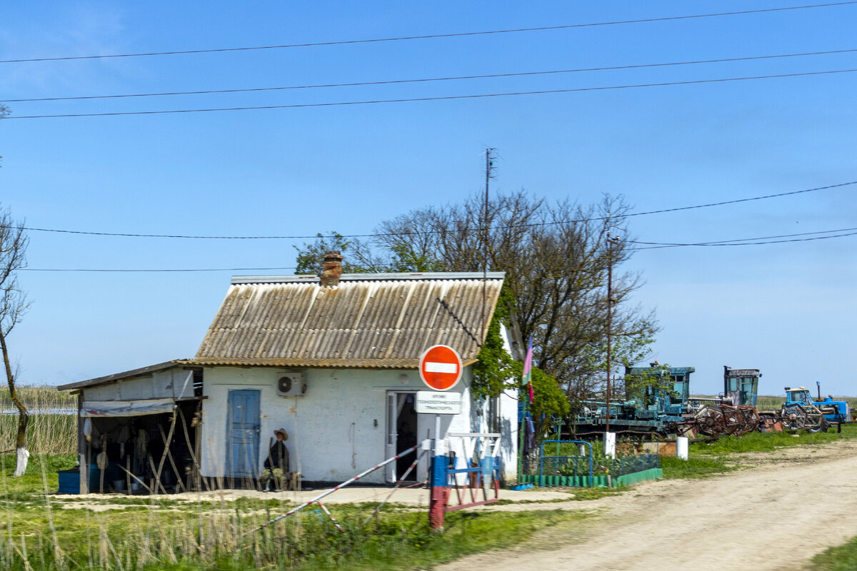 Гисметео голубая нива