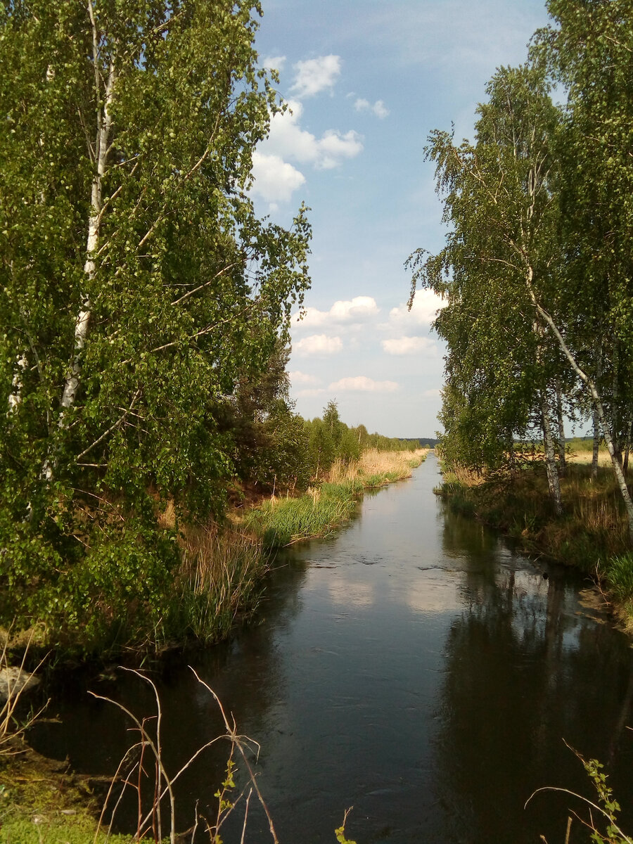 Искусственное русло Пышмы