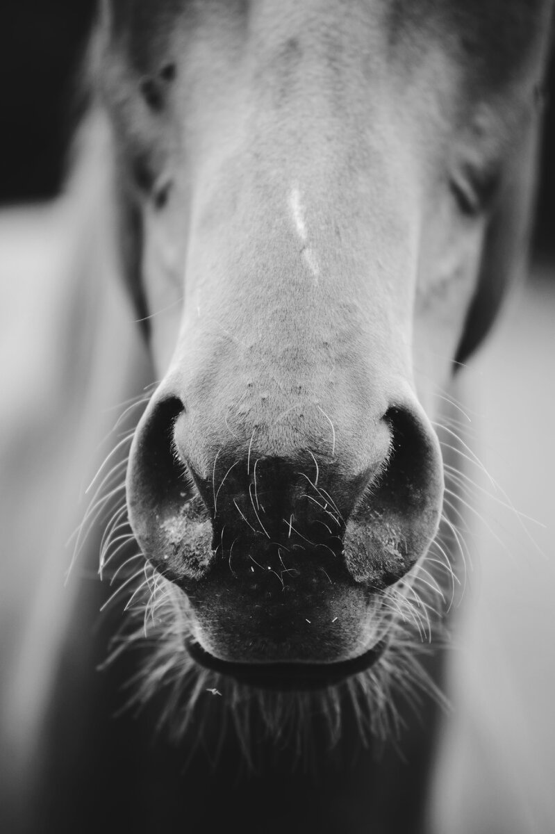 Фото Винсента Ботты на Unsplash