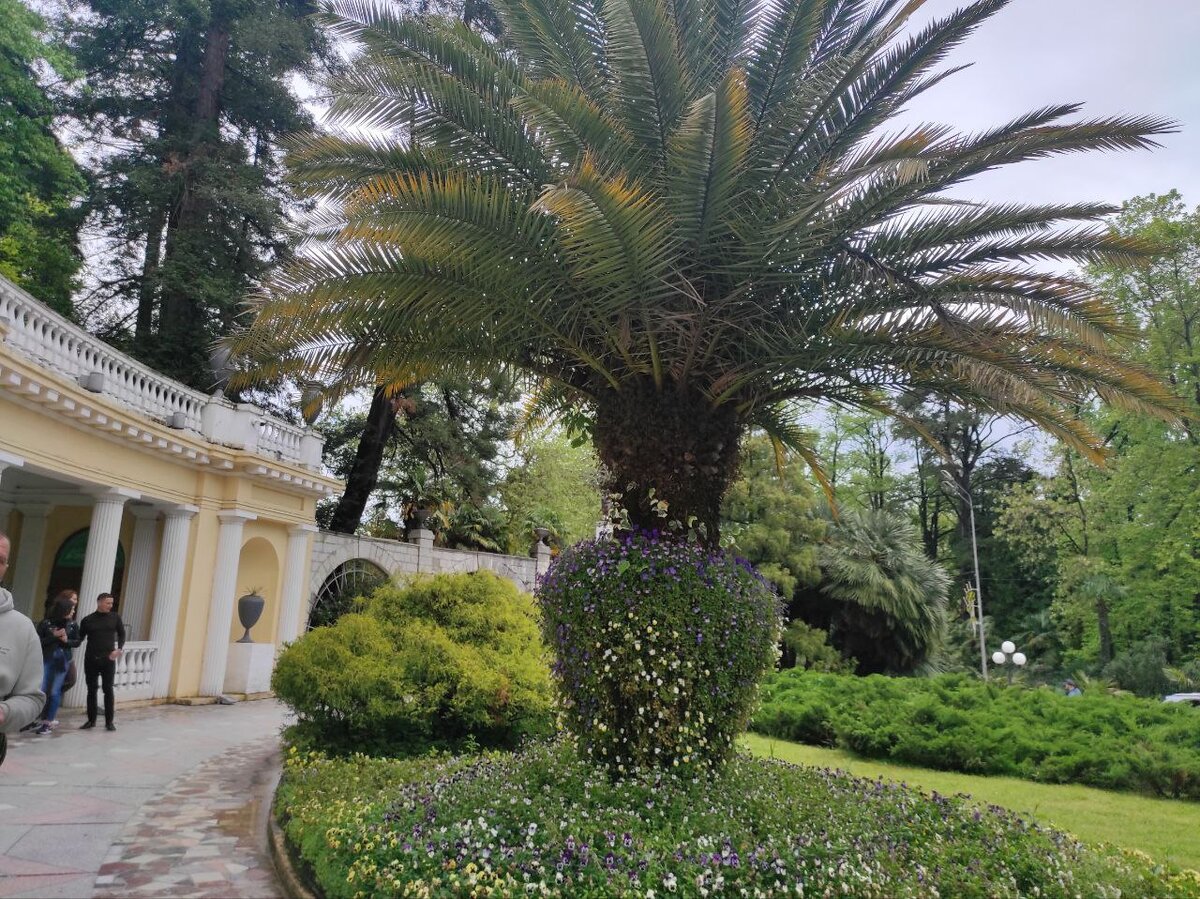 Вход в Сочинский Национальный Парк