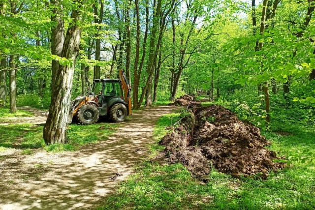   Фото: Калининград.Ru