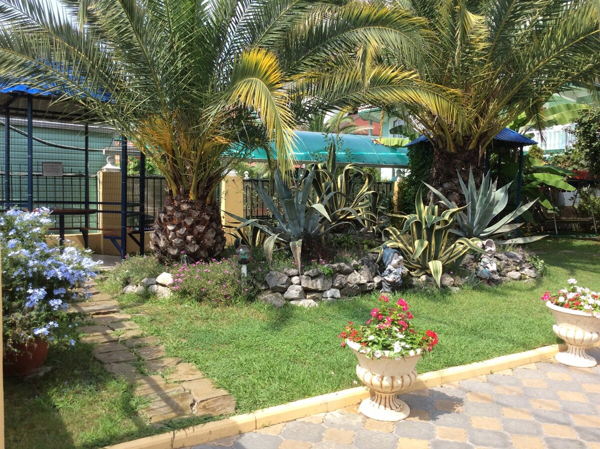 адлер аэрофлотская улица 4. гостевой дом ореон адлер. орион адлер. гостевой дом орион калининград фото. орион адлер мини-отель отзывы.